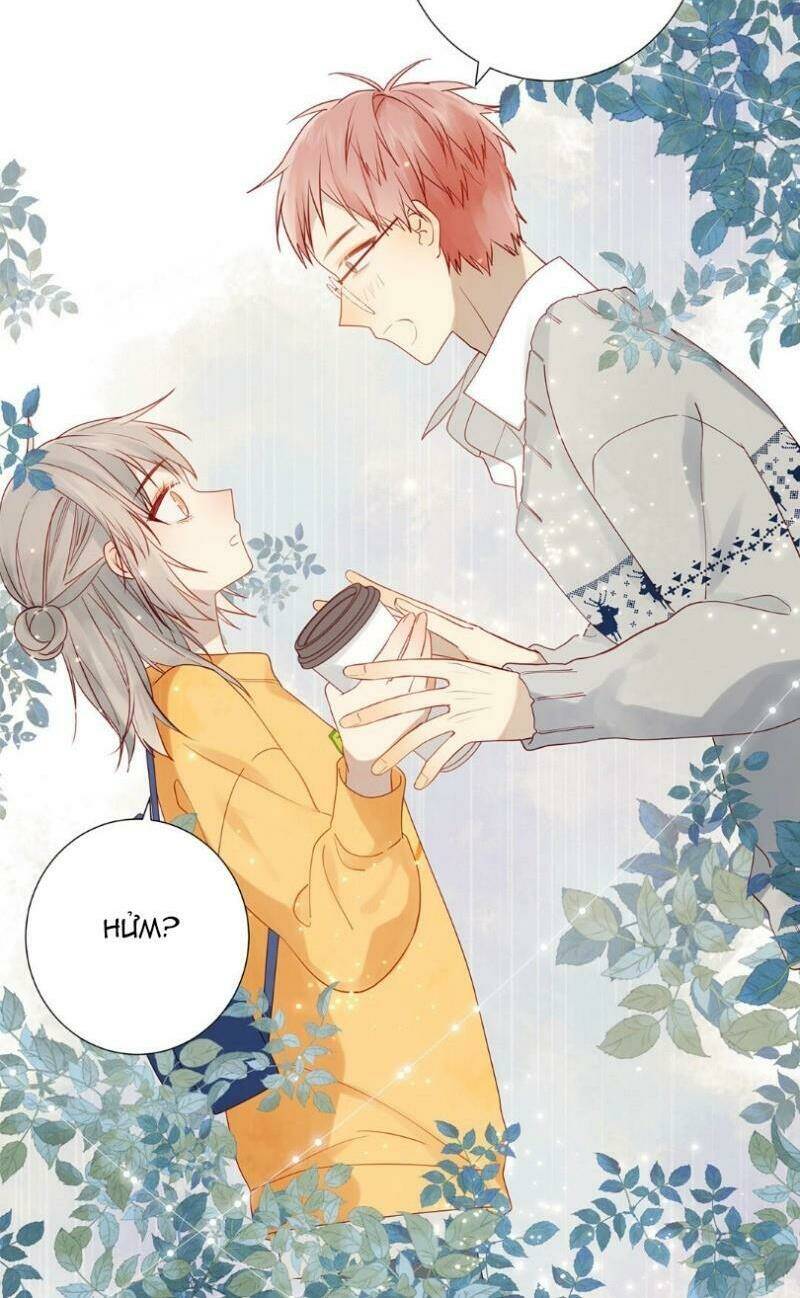 Lời Thề Như Sương Triều: Chapter 16