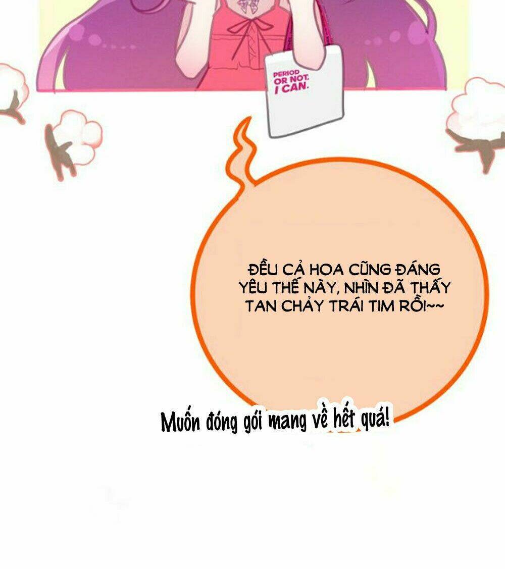 Tháng Sáu Kì Diệu: Chapter 65.5