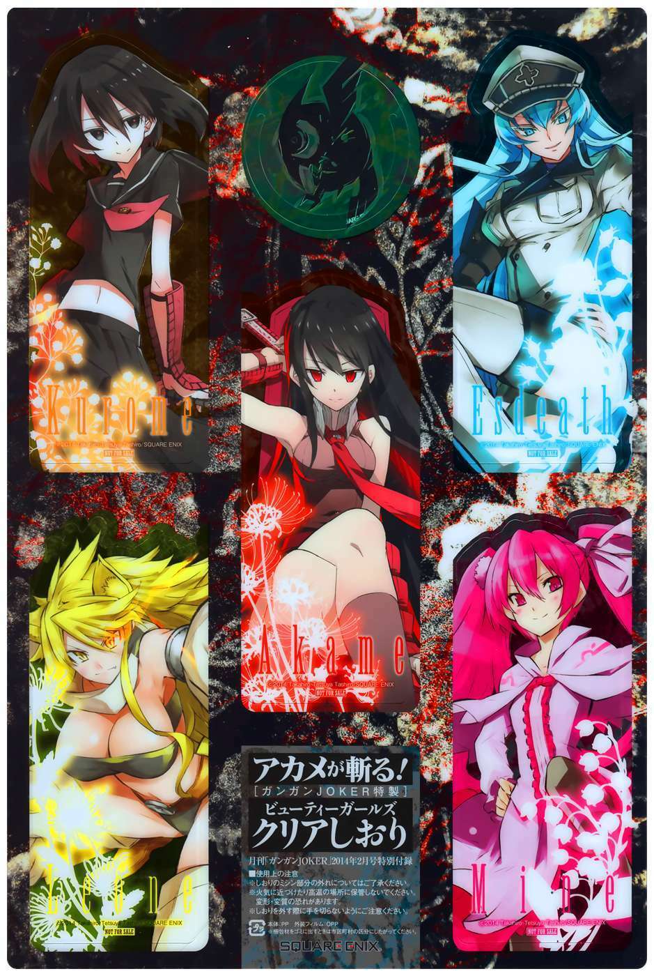 Akame Ga Kiru: Chapter 46