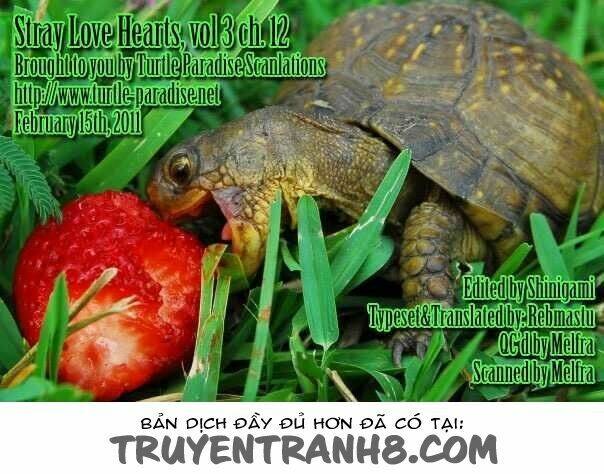 S.L.H (Stray Love Hearts): Chapter 12