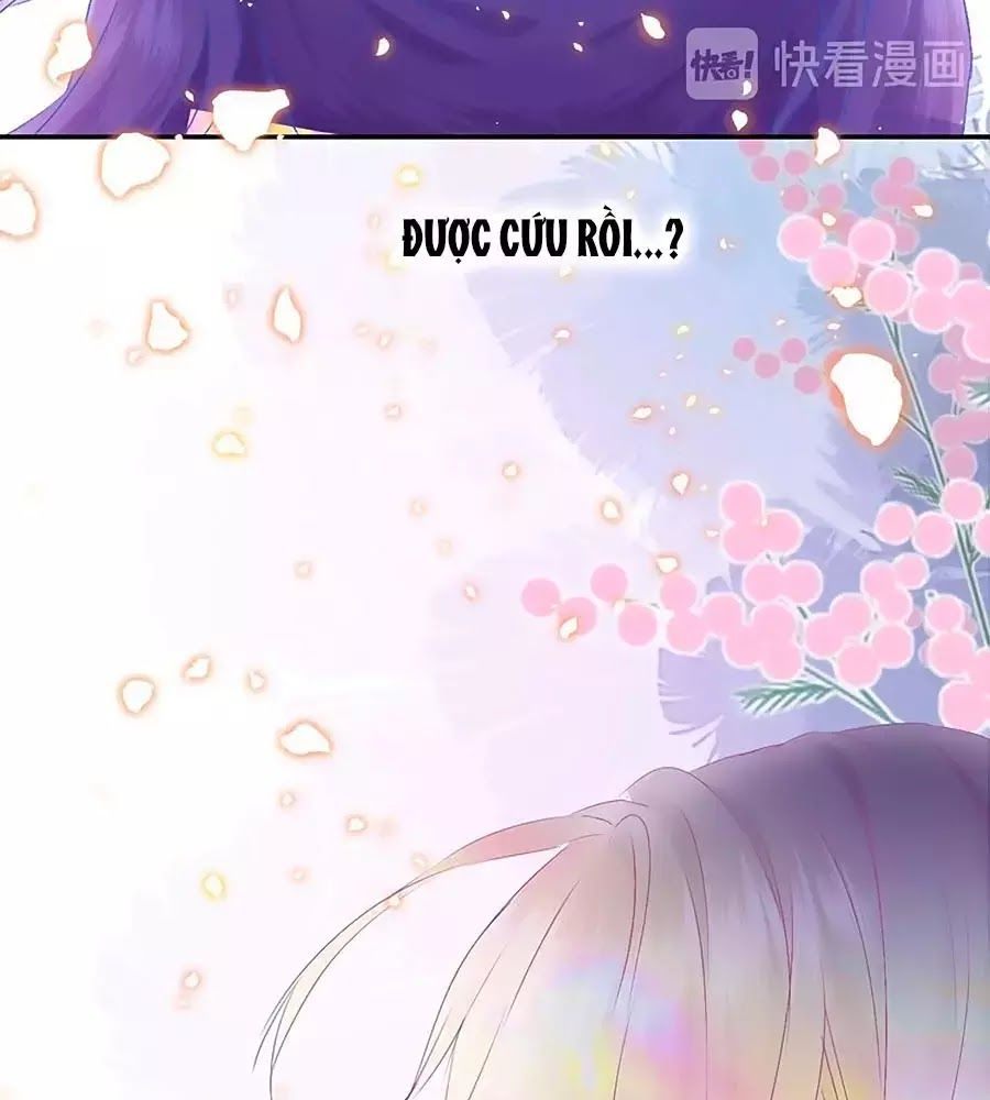 Kiều Nhi Hư Quá Nha: Chapter 11.5