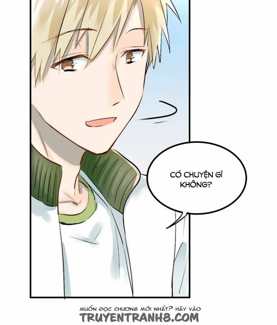 Đầu Gấu Biết Yêu: Chapter 11