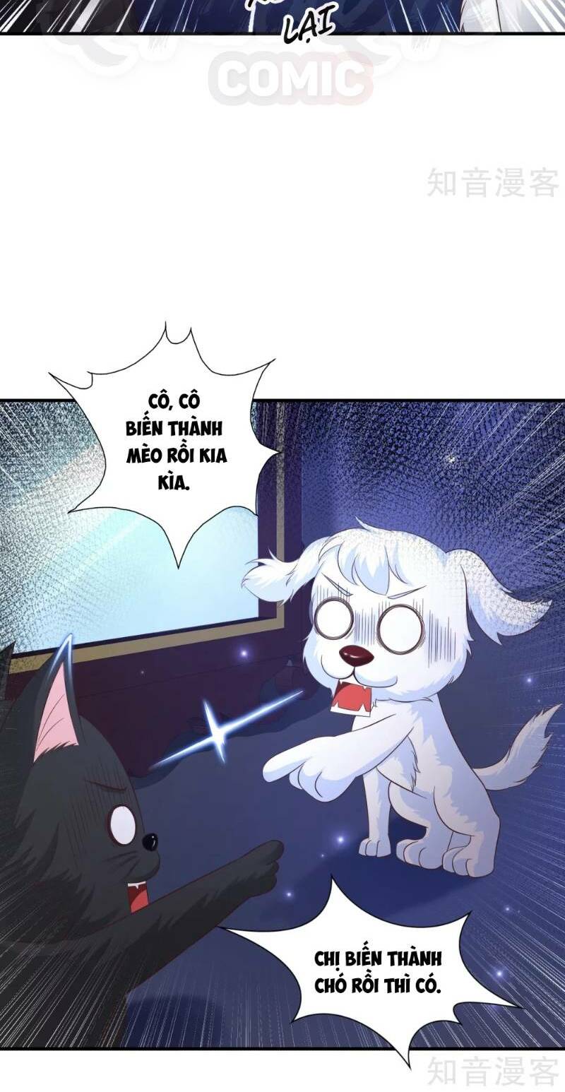 Tối Cường Vận Đào Hoa: Chapter 77