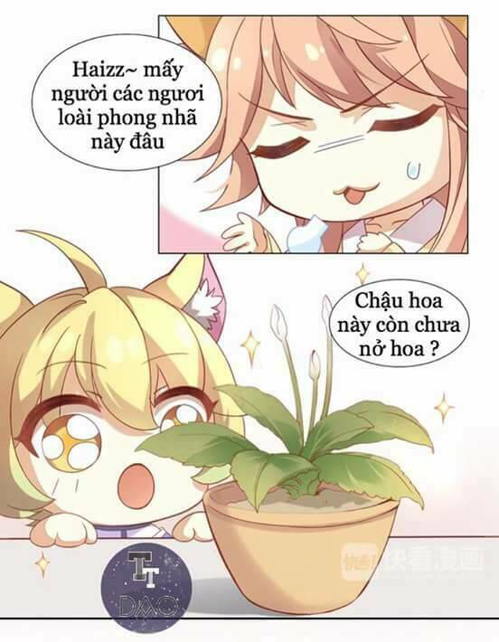 Dưới Móng Vuốt Mèo: Chapter 2
