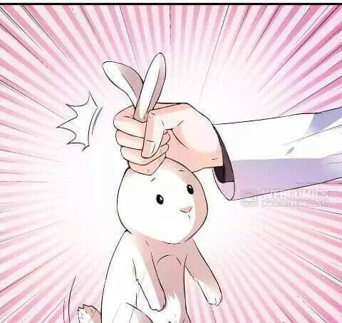 1 Nửa Hoàn Hảo Của Ceo: Chapter 21