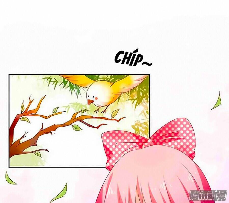 Bạn Trai Là Ngôi Sao: Chapter 74