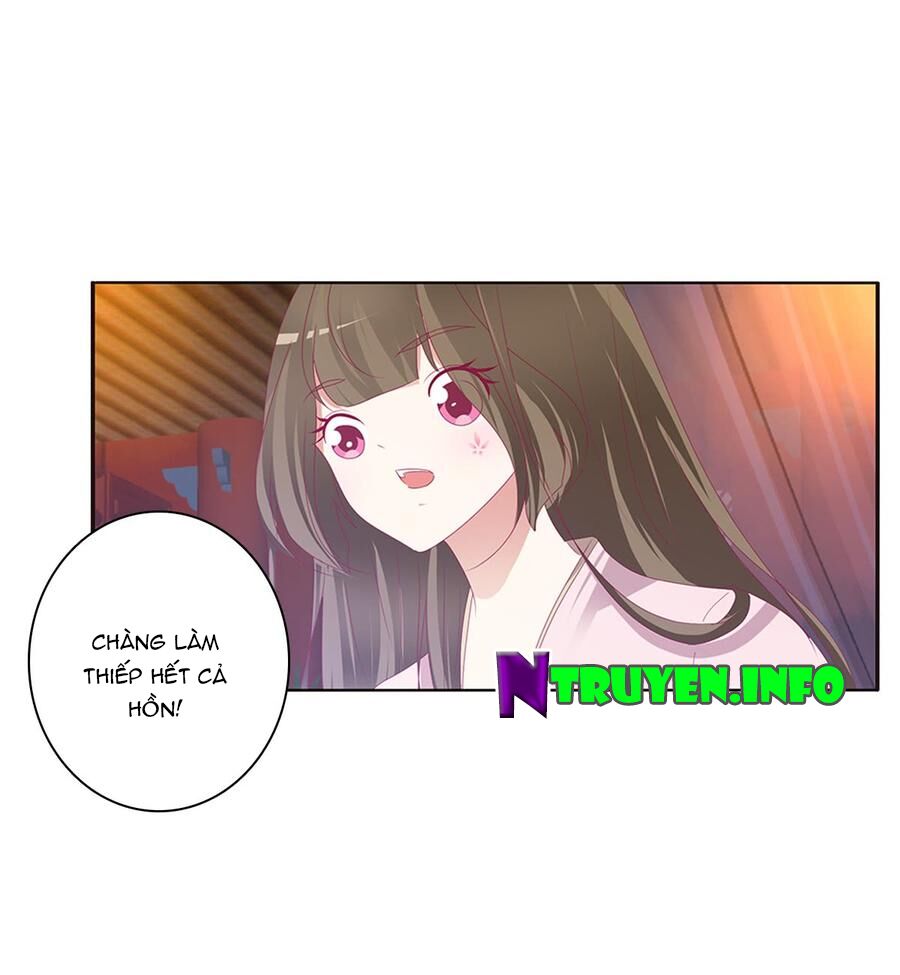 Thông Linh Phi: Chapter 500