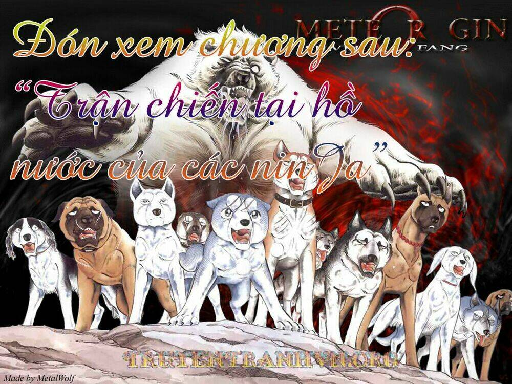 Chú Chó Có Nghĩa - Ginga Nagareboshi Gin: Chapter 18