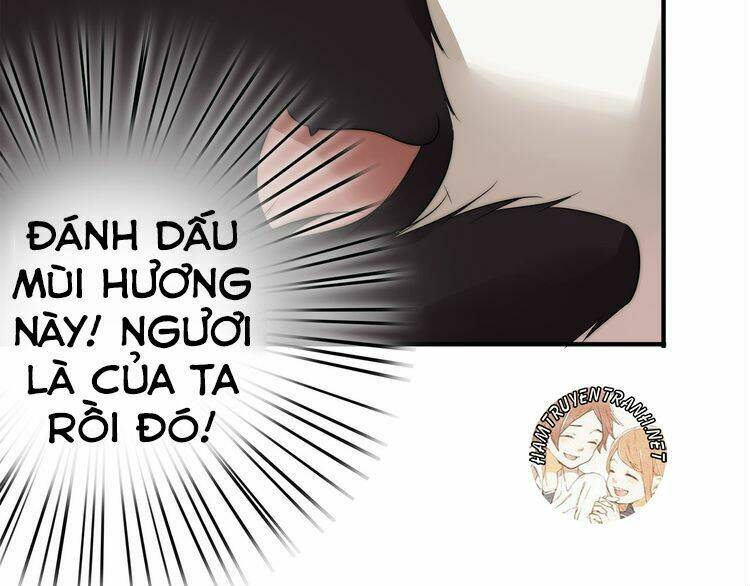 Viện Bảo Tàng Tâm Nguyện: Chapter 2.1
