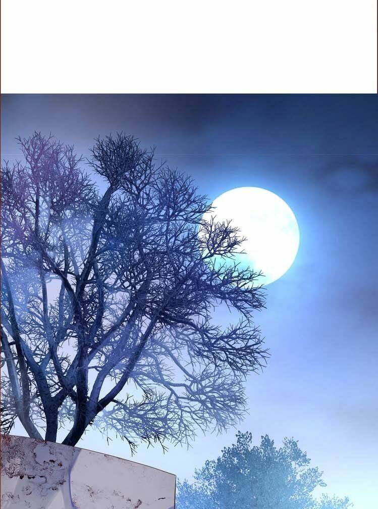 Thịnh Khai Vu Kinh Cức Chi Thượng: Chapter 2