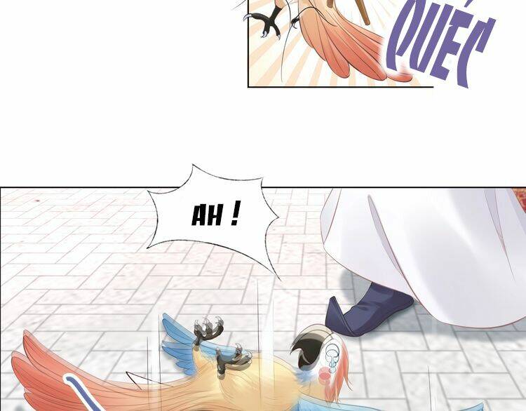 Nhất Sinh Nhất Thế Tiếu Thương Khung: Chapter 6