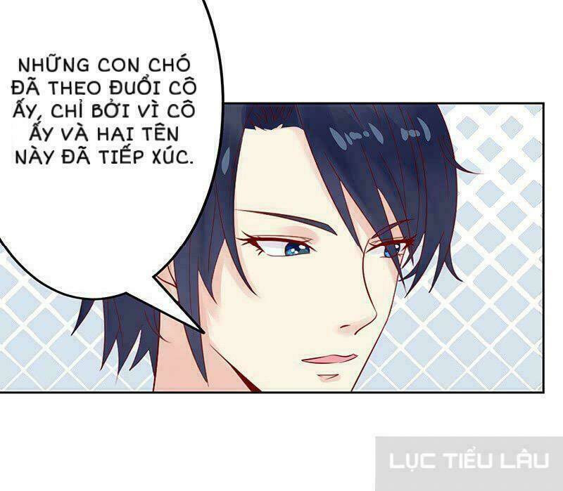 Băng Sơn Học Trưởng Không Được Chọc: Chapter 15