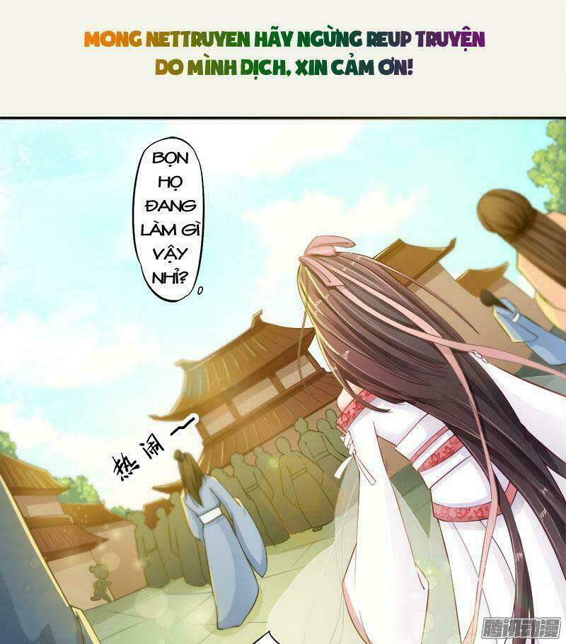 Tuyệt Thế Luyện Đan Sư: Chapter 6