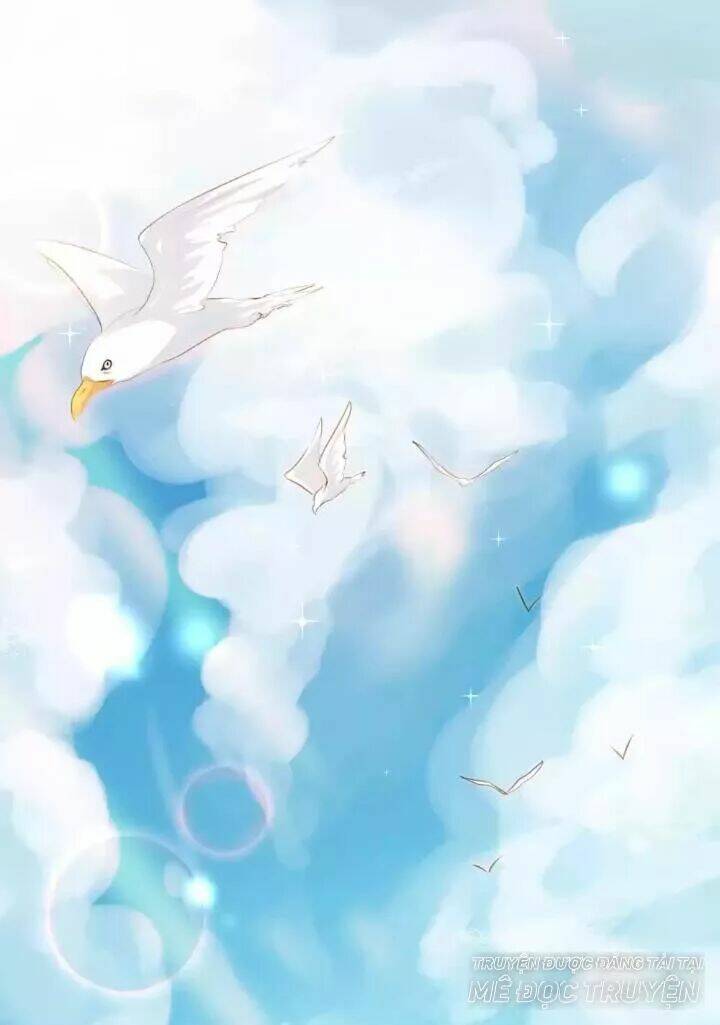 Bản Hợp Đồng Của Tổng Tài Lạnh Lùng: Chapter 12