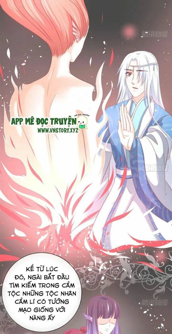 Cẩm Lý Thiếu Nữ Của Tôi: Chapter 68