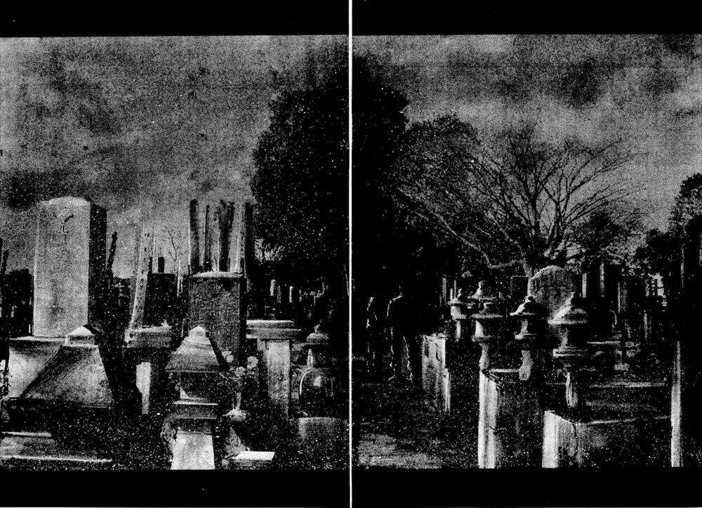 Rainbow: Chapter 225