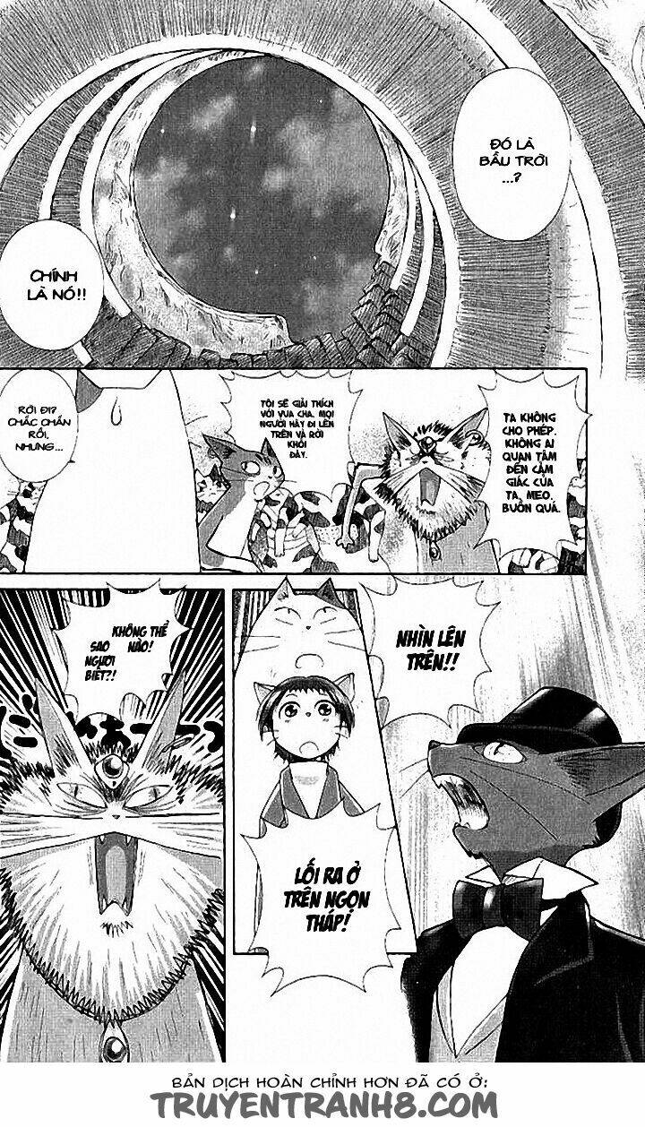 Lời Thì Thầm Từ Trái Tim: Chapter 8