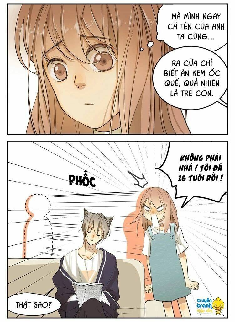 Cứu Mạng! Loài Mèo Thống Trị Thế Giới Rồi!: Chapter 13