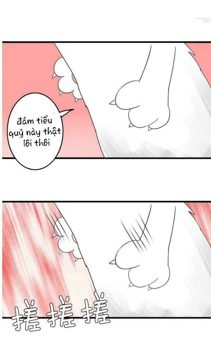 Thú Sủng Của Tôi Bị Mất Trí Rồi: Chapter 1