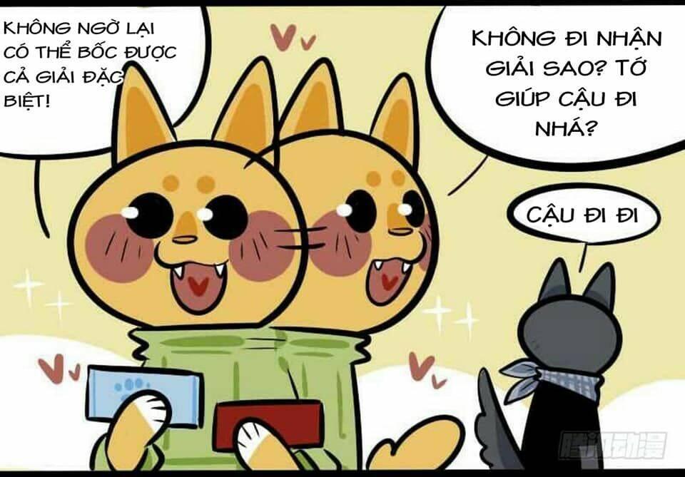 Đời Không Như Mình Tưởng: Chapter 17