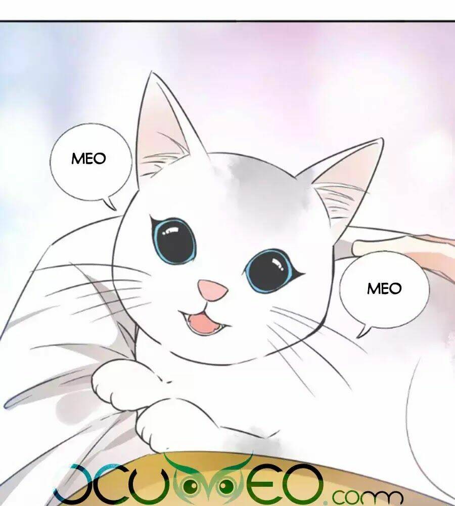 Mùi Hương Lãng Mạn: Chapter 37