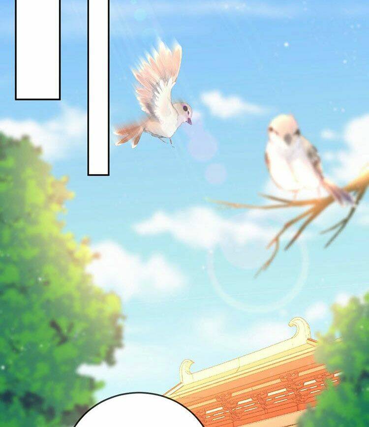 Giang Sơn Mỹ Nam Nhập Trướng Ta: Chapter 29