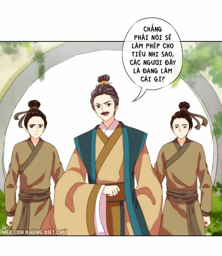 Ồ, Sủng Phi Đại Nhân Của Ta: Chapter 4
