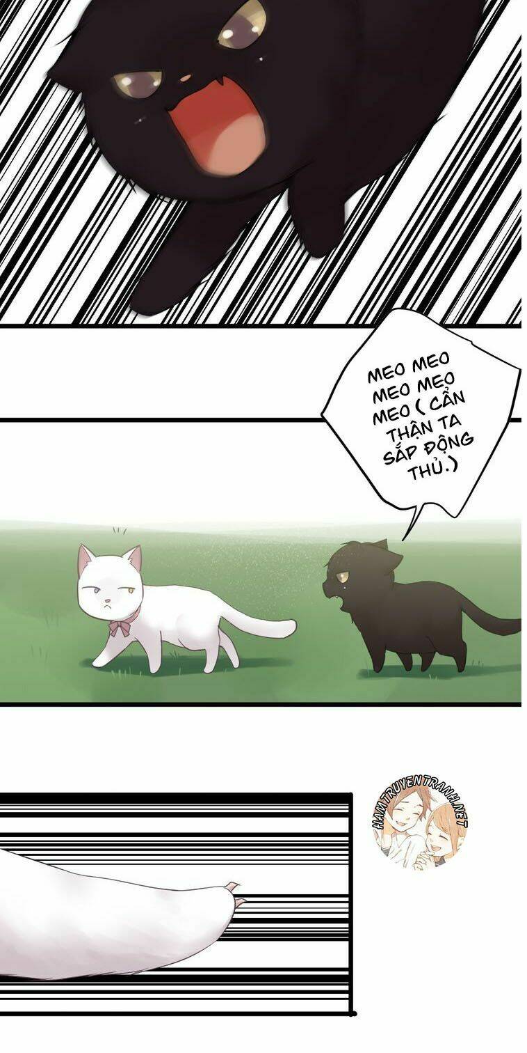 Viện Bảo Tàng Tâm Nguyện: Chapter 21.2