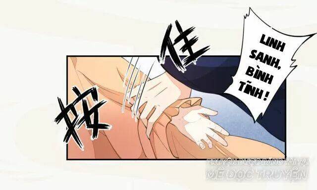 Tuyệt Thế Luyện Đan Sư: Chapter 28