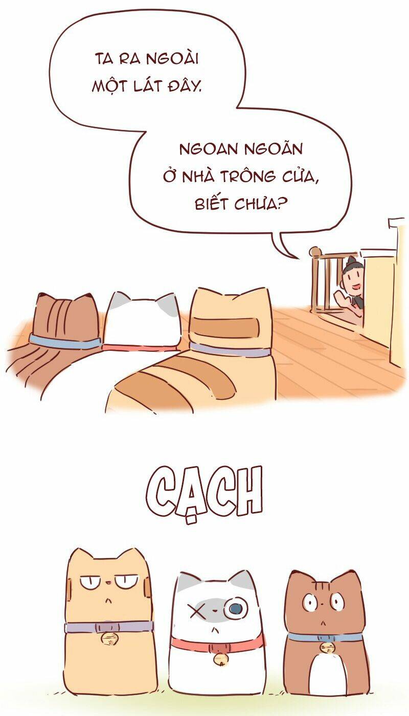 Saphie: Chú mèo một mắt: Chapter 28