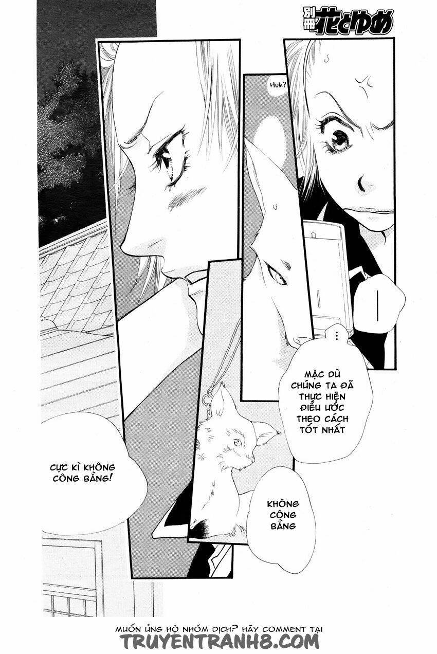 Orange Chocolate: Chapter 14