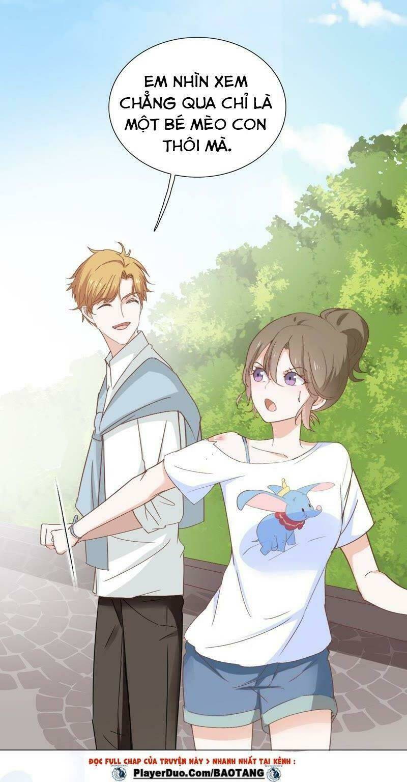 Thập Nhị Hắc Miêu: Chapter 5