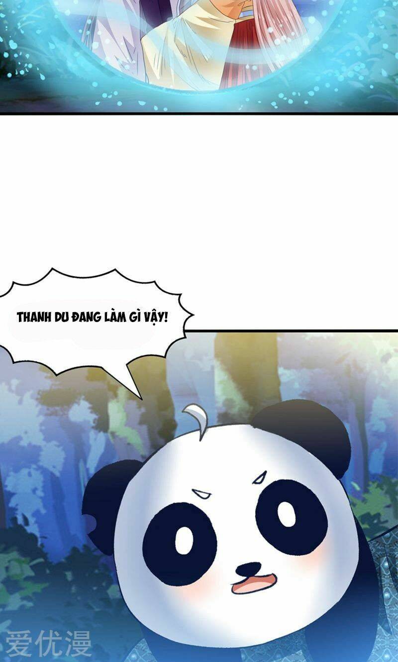Tôi Bị Gấu Trúc Nhìn Trúng Rồi: Chapter 24