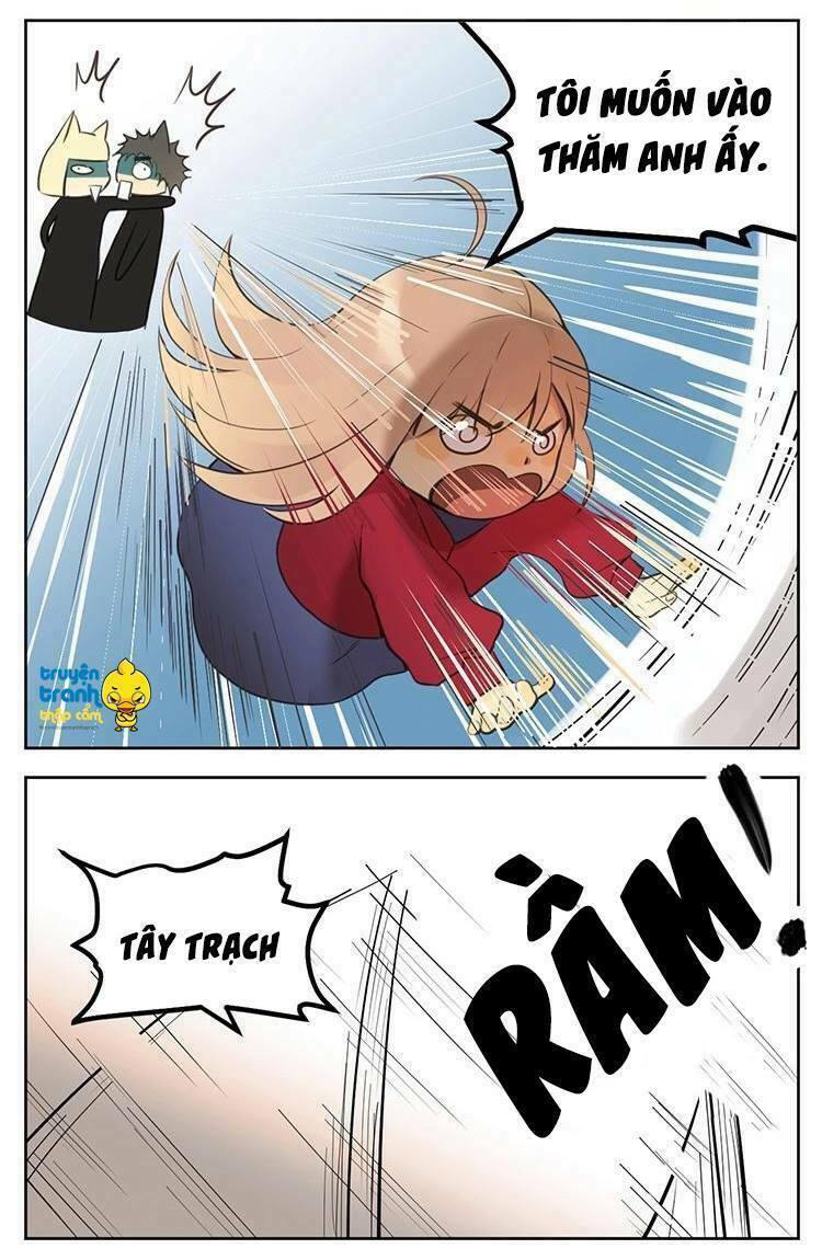 Cứu mạng ! Loài mèo thống trị thế giới rồi !: Chapter 30