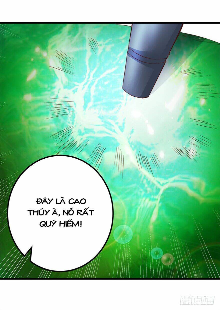 Thấu Thị Tiên Y: Chapter 36