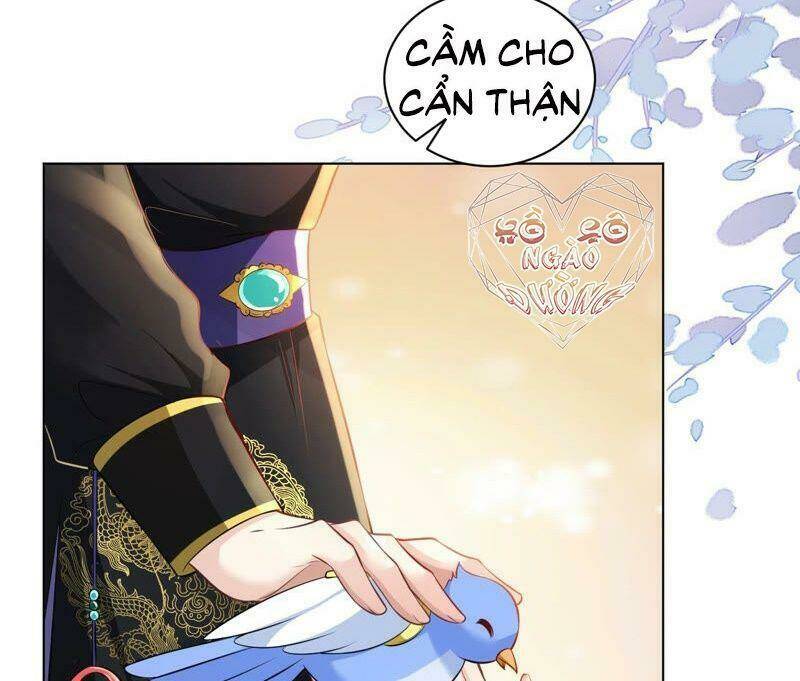 Quận Chúa Vững Vàng, Thiết Lập Nhân Vật Không Thể Vỡ: Chapter 44