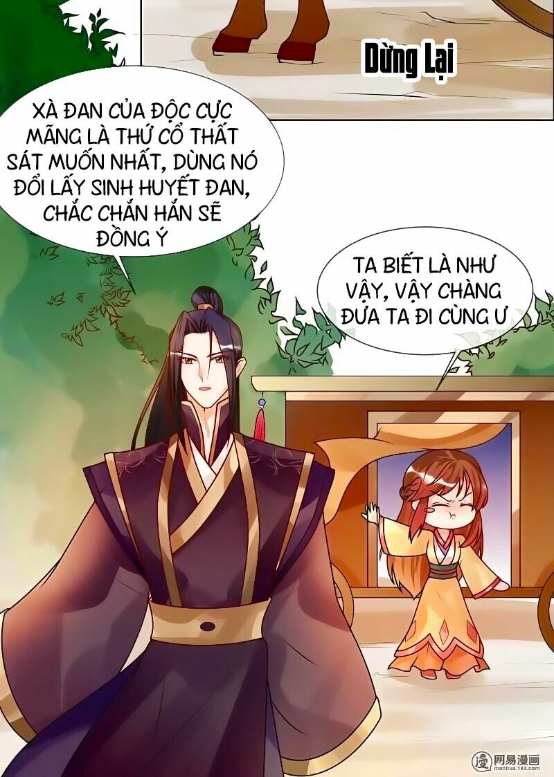 Thiên Tài Tiểu Độc Phi: Chapter 51