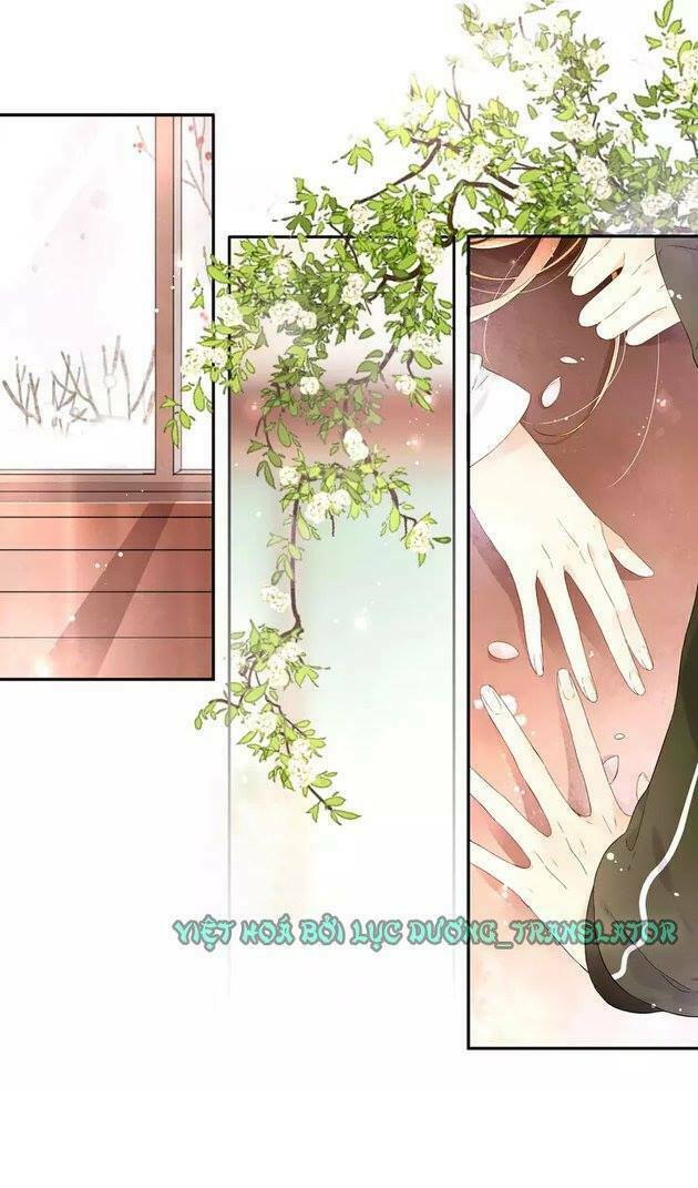 Tình yêu là màu hoa anh thảo: Chapter 20.5
