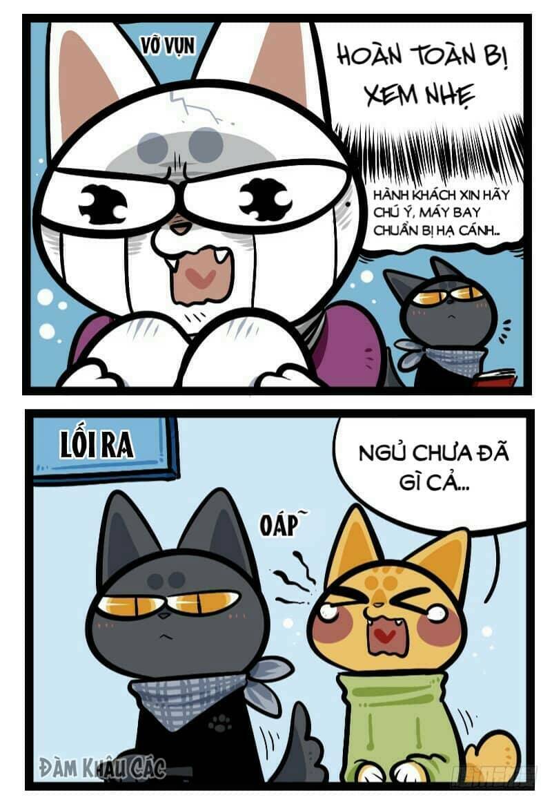 Đời Không Như Mình Tưởng: Chapter 43