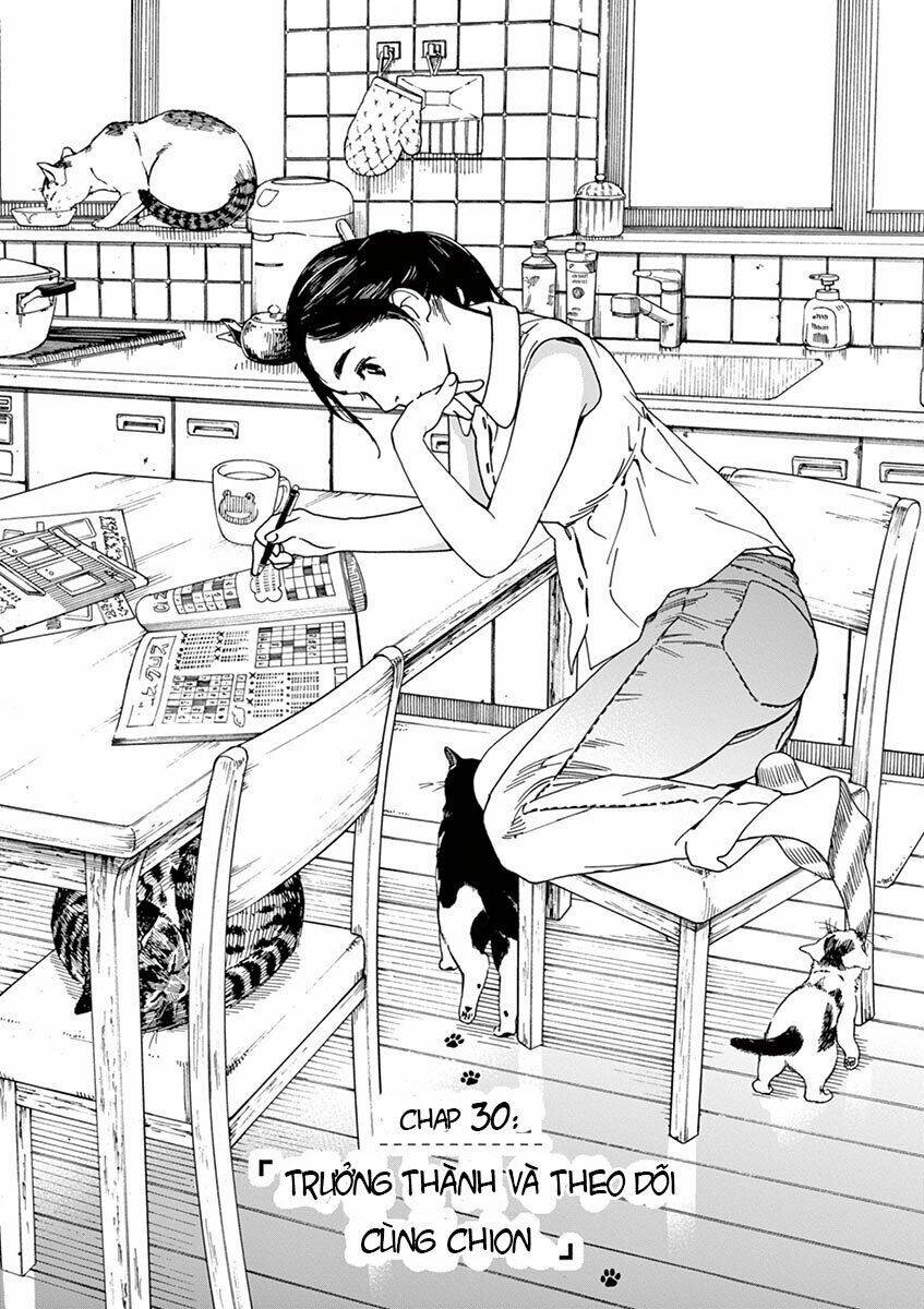 Neko No Otera No Chion-San: Chapter 30