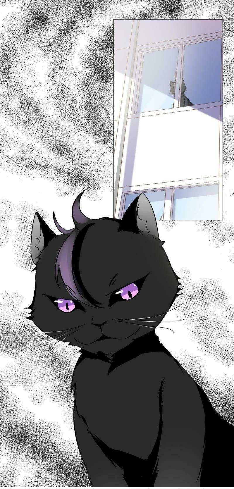 Thập Nhị Hắc Miêu: Chapter 5