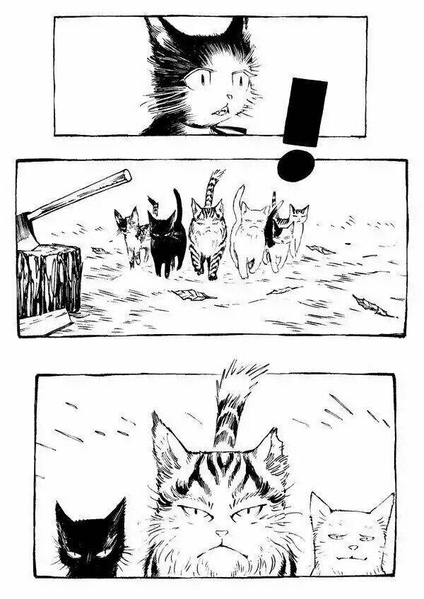 Con Mèo Và Matsu: Chapter 3