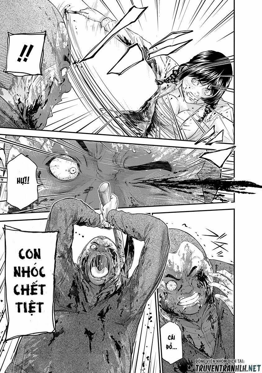 Signal 100: Chapter 17