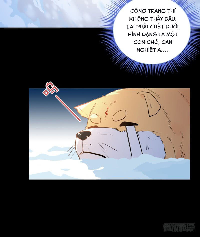 Lụ Đạn, Hôm Nay Lại Cũng Không Thể Biến Thành Người Được: Chapter 1