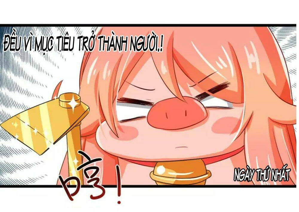 Đệ Tử Của Ta Là Heo: Chapter 5