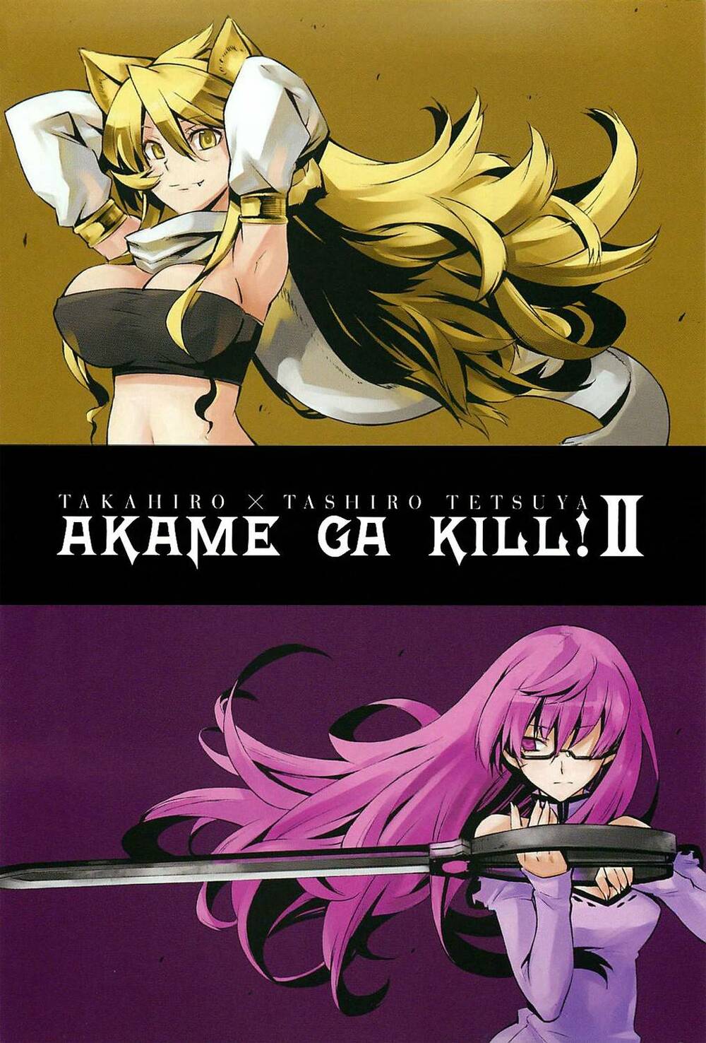 Akame Ga Kiru: Chapter 8