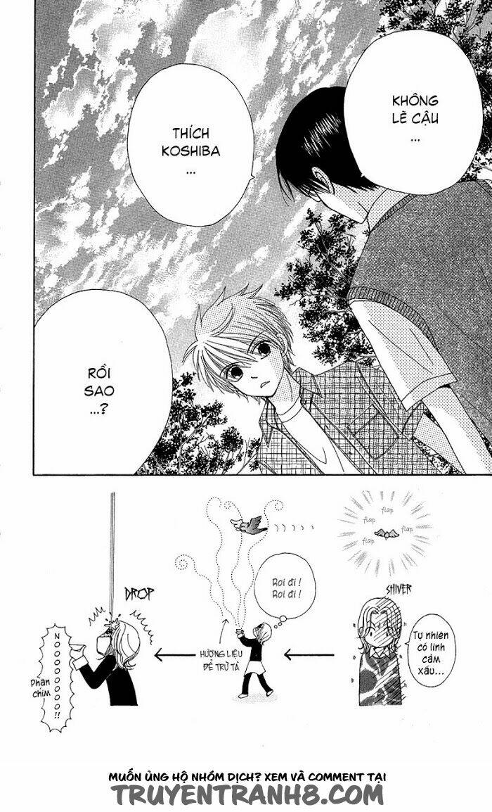 Dự Án Kéo Vàng: Chapter 44