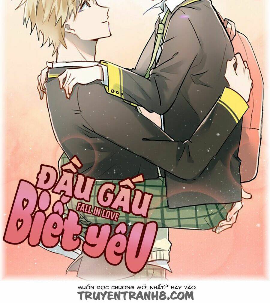 Đầu Gấu Biết Yêu: Chapter 11