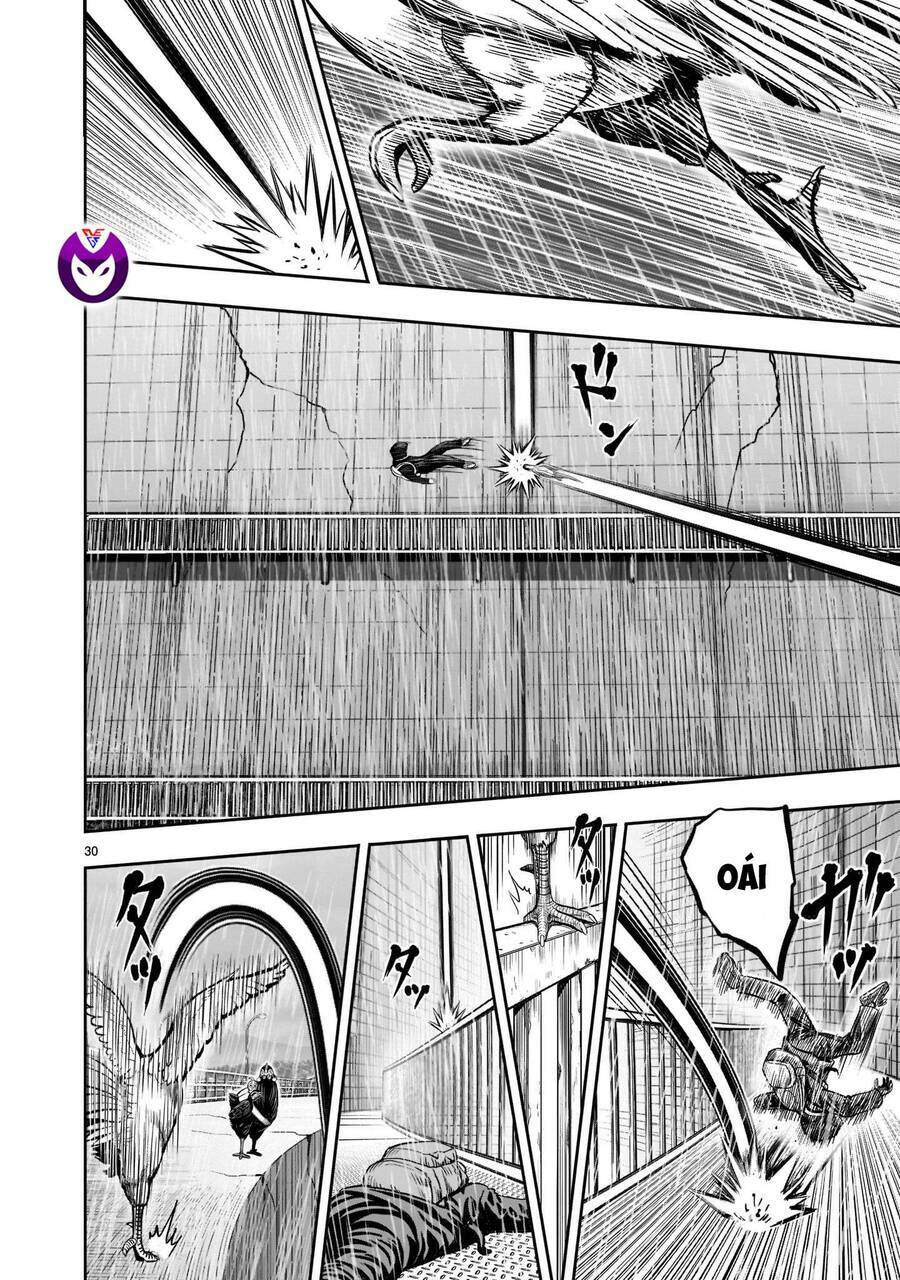 Cự Kê Chiến Ký: Chapter 14