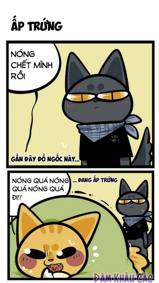 Đời Không Như Mình Tưởng: Chapter 41